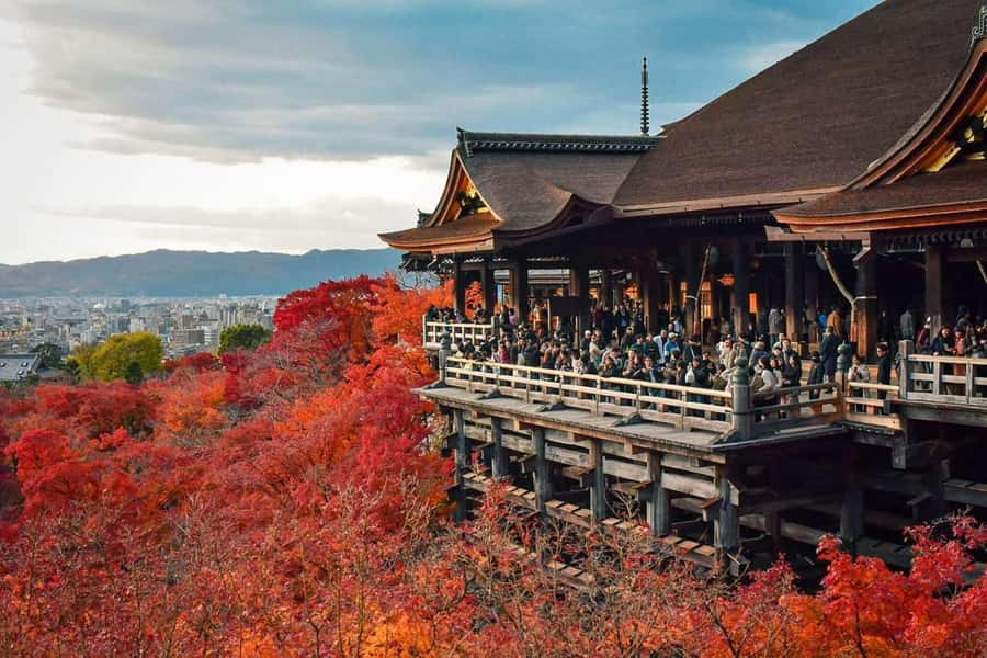 Kyoto/Nara: Exclusive Private Guided Tour with Hotel Pickup - Who Should Book This Tour?