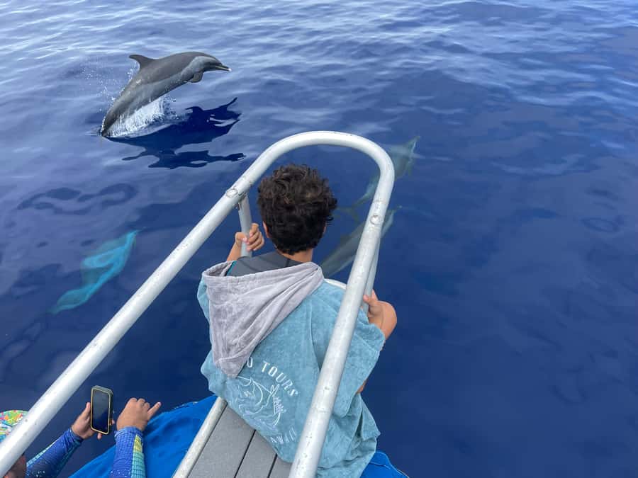 Kona: Small Group Ocean Safari + Snorkel - Is This Tour Worth the Price?