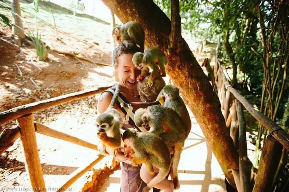 Punta Cana: Zip Line, Monkeyland, & Coconut House Tour - Who Will Love This Tour?