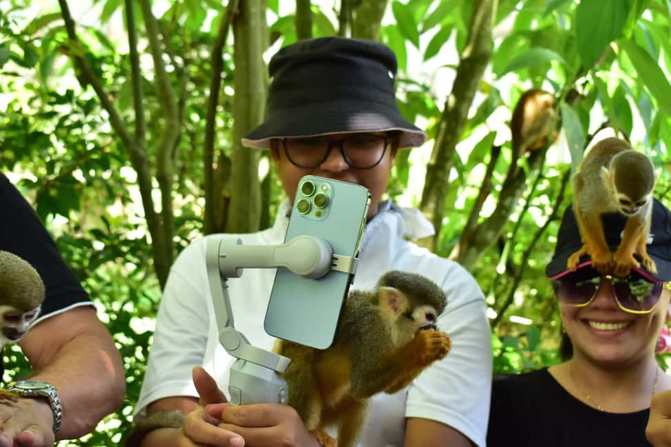 Punta Cana: Zip Line, Monkeyland, & Coconut House Tour - Key Points