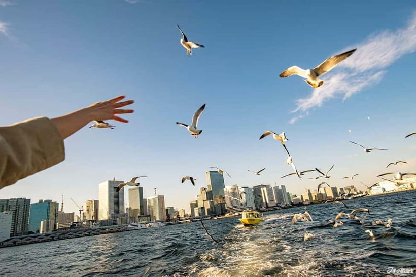 Tokyo: Panoramic Sunset Bay Cruise with Local Guide - Real Experiences and Feedback