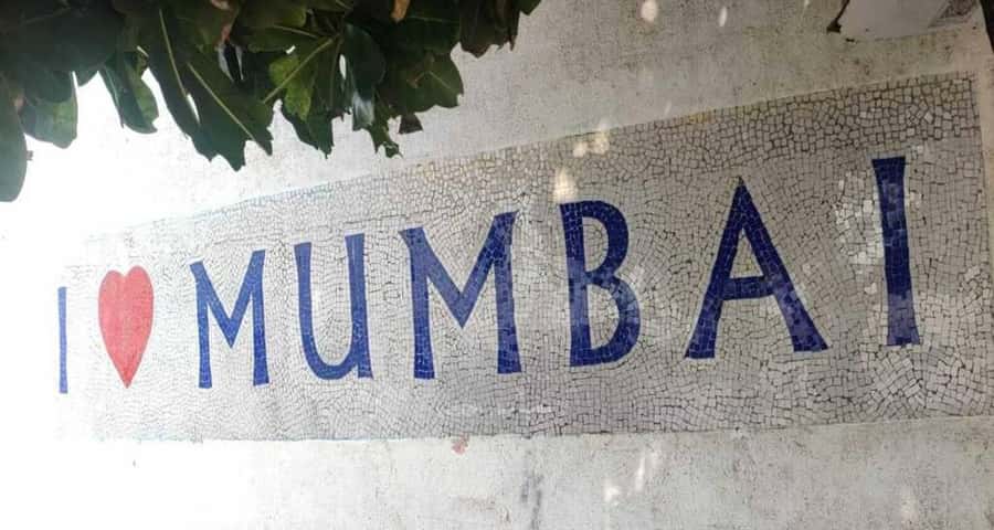 Mumbai Private City Tour with Local Guide & Hotel Pickup - Transportation and Logistics