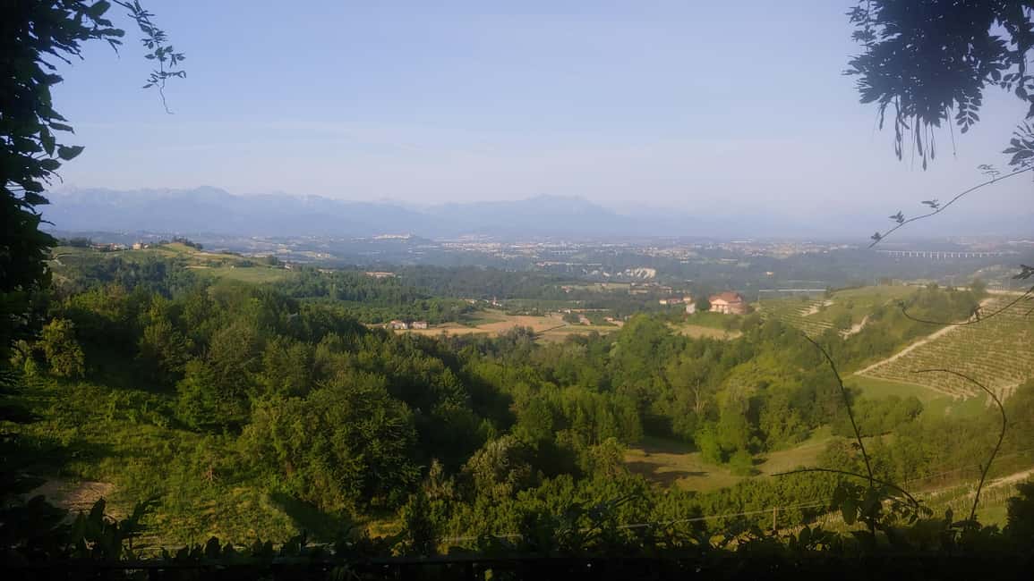 Langhe: Visit to the Vineyard and Historic Cellars with Tasting - Exploring the Langhe: A Deep Dive into Vineyards, Cellars, and Flavors