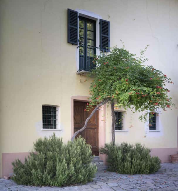 Langhe: Visit to the Vineyard and Historic Cellars with Tasting - FAQ