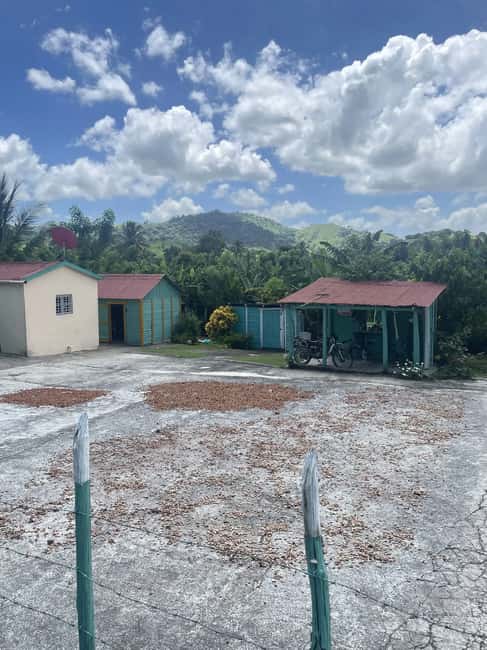 Punta Cana: Cacao, River, and Basilica Tour with Swim - Punta Cana: Cacao, River, and Basilica Tour with Swim – A Balanced Look at a Cultural and Natural Adventure