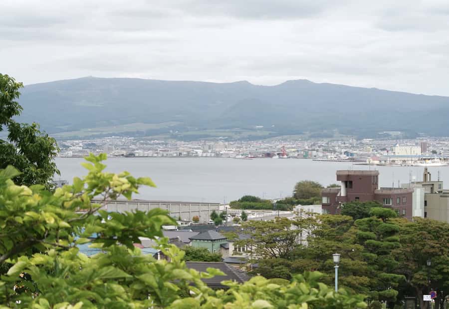 Hakodate/Hokkaido Private Tour with Local Guide - Who Is This Tour Best For?