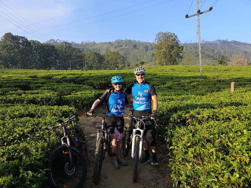 Mountain biking around Tea Trails Tour in Kandy - Detailed Breakdown of the Tour