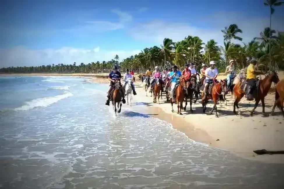Punta Cana: Horseback Riding Adventure with Transfers - What to Expect from the Horseback Riding Tour in Punta Cana
