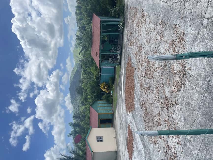 Punta Cana: Horseback Riding Adventure with Transfers - Authentic Experiences that Add Value