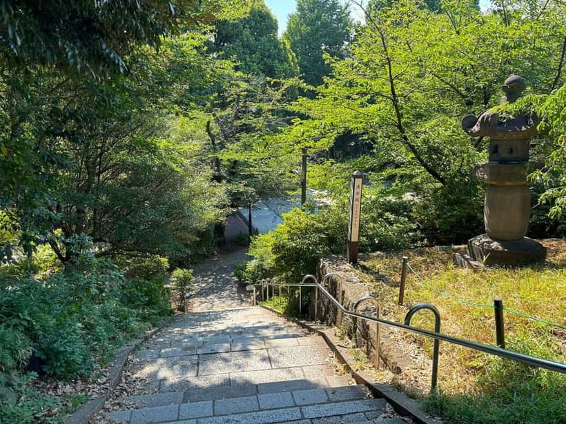 Tokyo: Ueno Park and Ameyoko Street Walking Tour - Final Thoughts