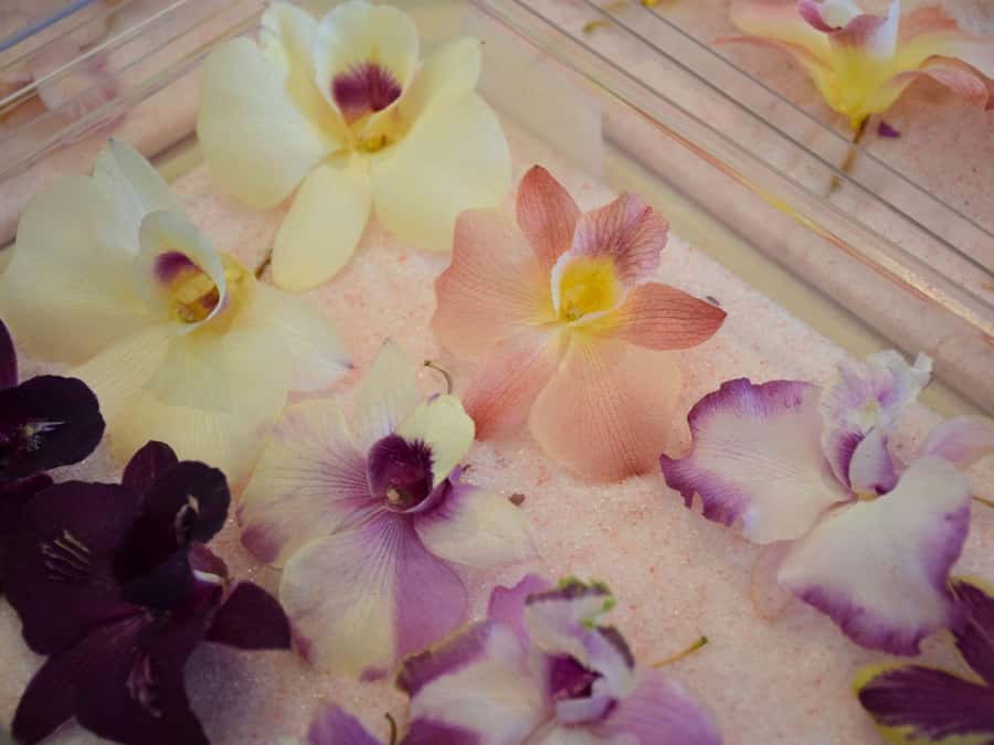 Bangkok: Lotus Fields, Orchid Farm, and Flower Market Tour - Who will love this tour?