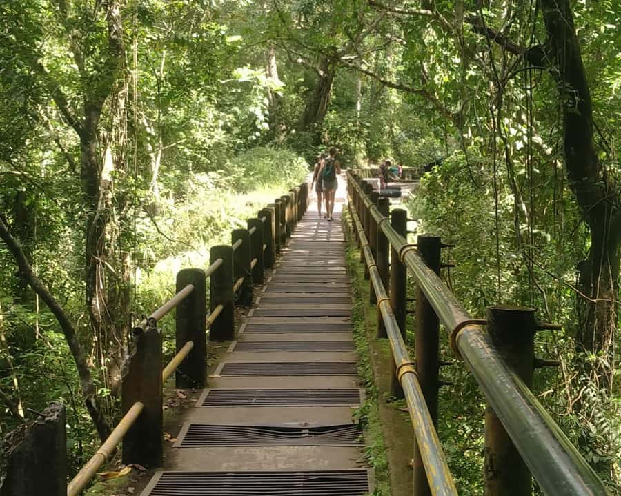 From Gili Island : Waterfalls and Traditional Village Tour - Return Journey and Final Thoughts