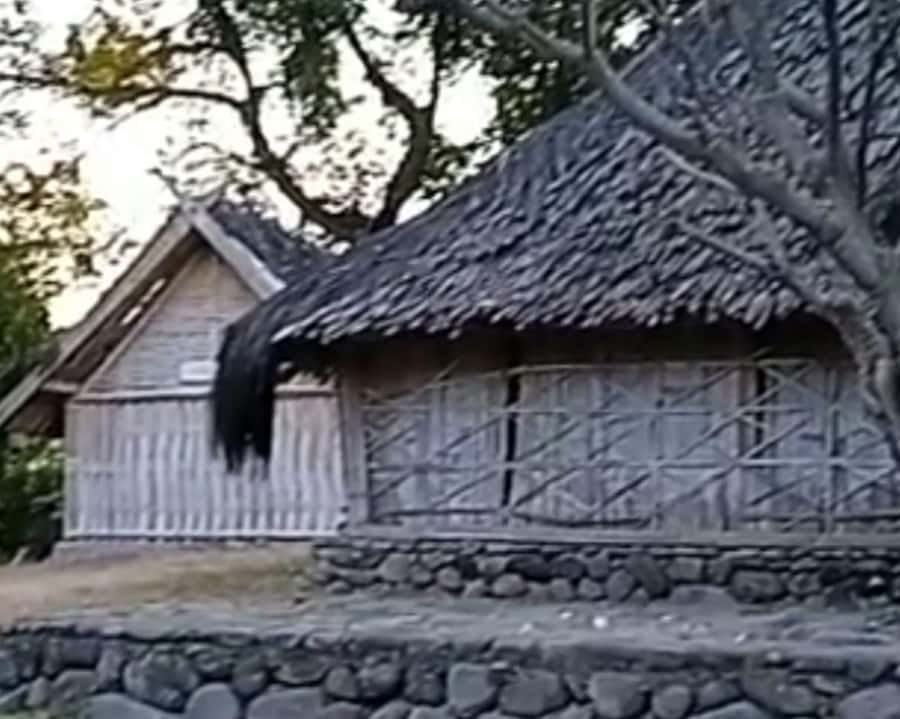 From Gili Island : Waterfalls and Traditional Village Tour - Who Will Love This Tour?