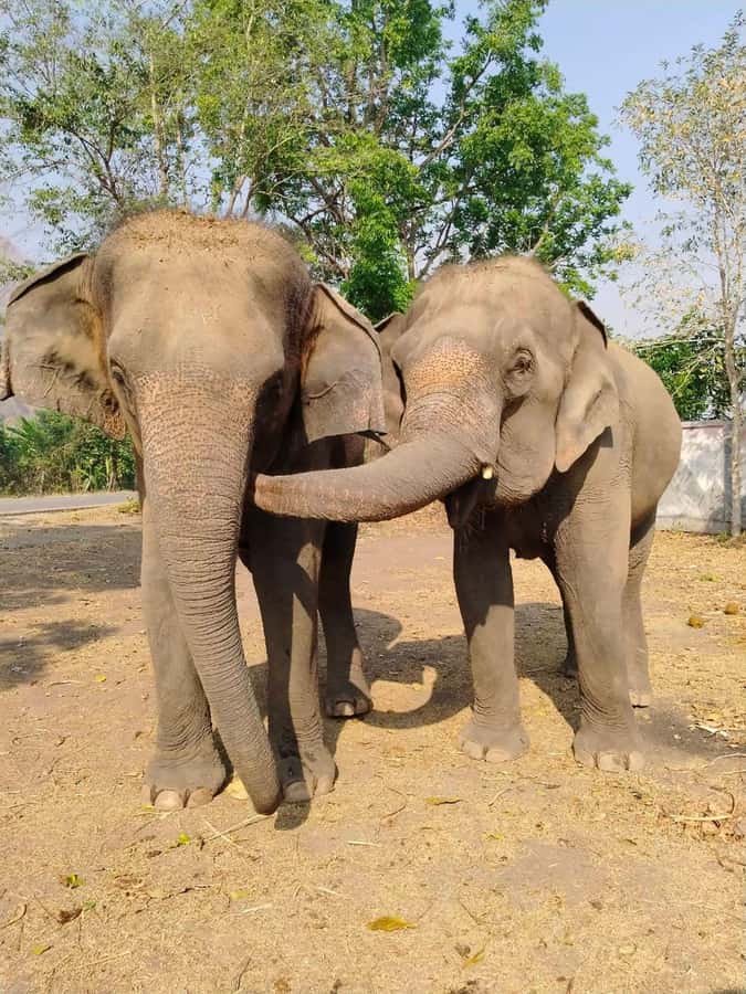 SO MANY BAD TITLES - Who Should Consider This Tour?