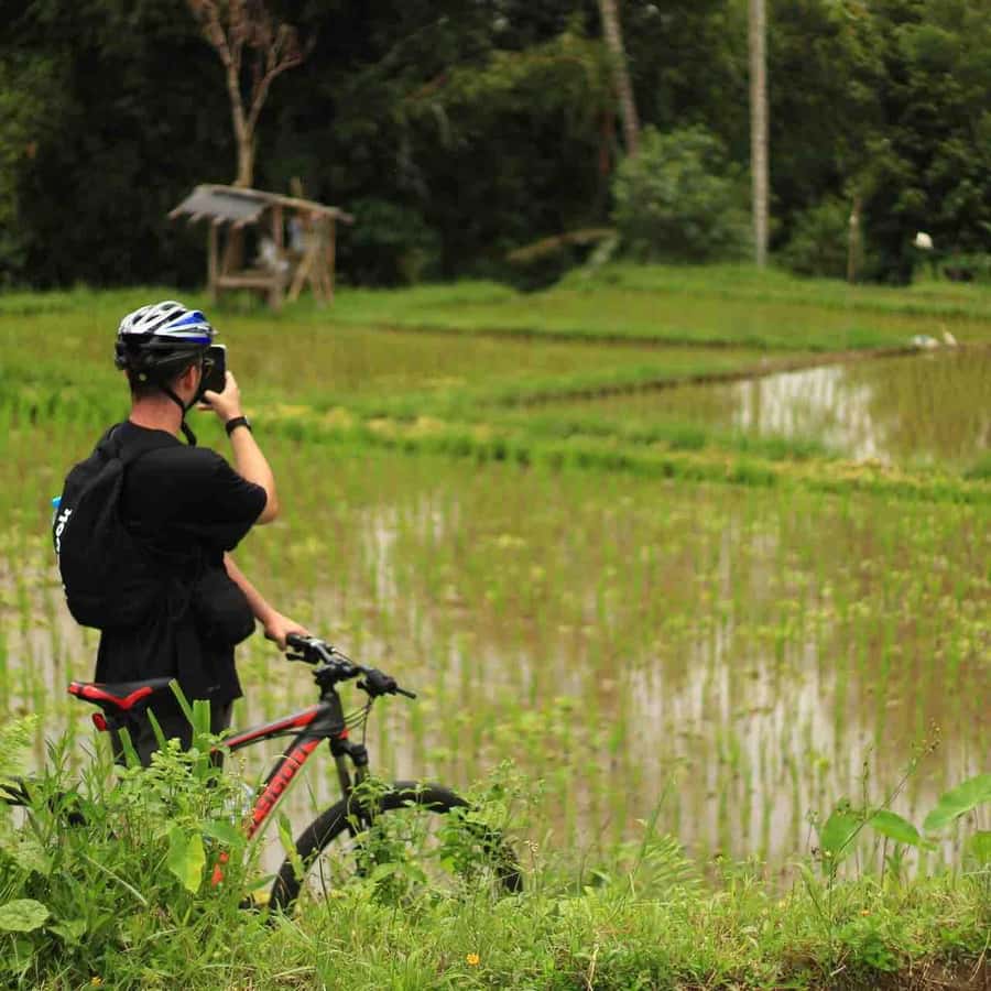Ubud: Downhill Cycling Tour Through Jungle and Rice Terraces - The Sum Up: Who Is This Tour Best For?