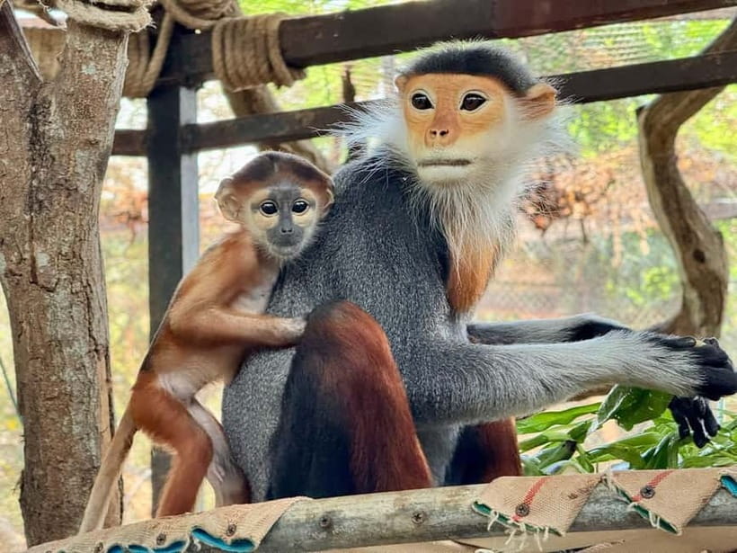 Bangkok/Pattaya: Khao Kheow Zoo Private Tour with Pickup - Final Thoughts