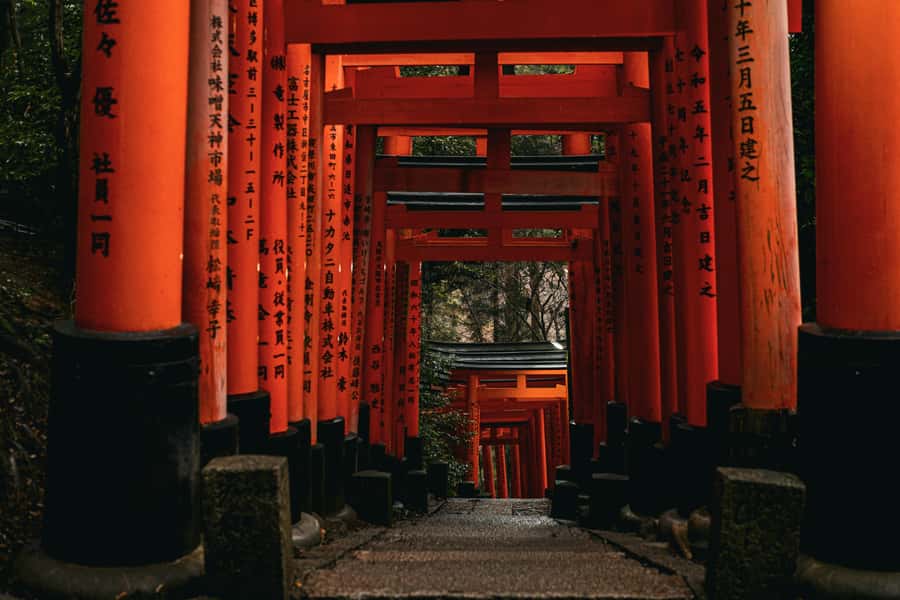 Crowd-Free Kyoto: Fushimi Inari, Nijo Castle & Kinkaku-ji - Fushimi Inari Shrine: The Morning Hike