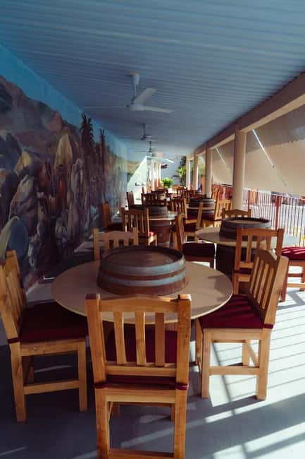 From La Playa: Vineyard Tour w/ Tasting & Todos Santos Stop - What to Expect and Practical Details