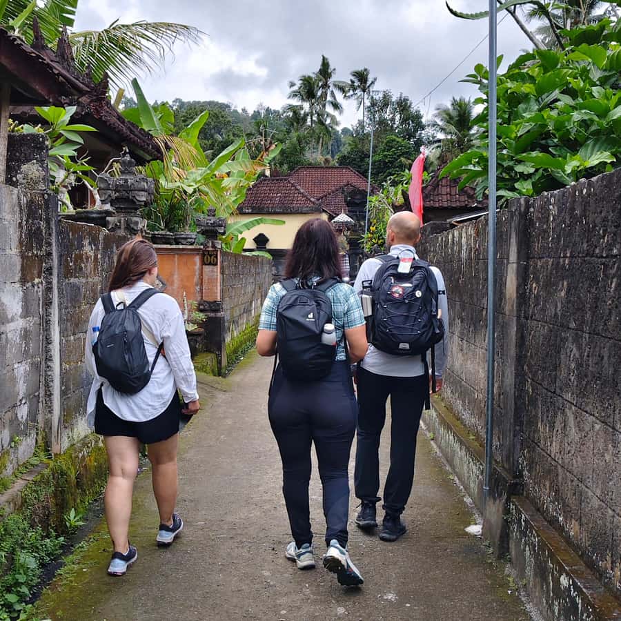Sidemen: Rice Terraces, Waterfall, & Village Tour - Who Is This Tour For?