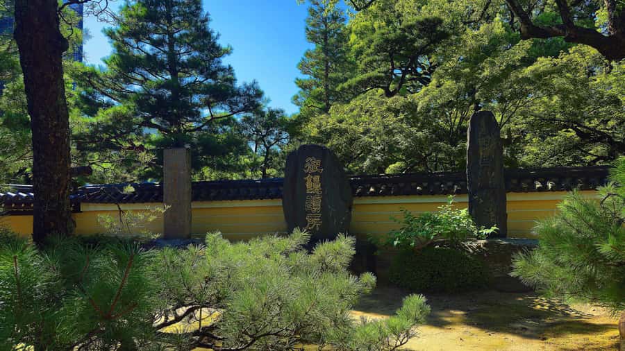 Fukuoka: Hakata Old Town Temples, Shrines and History Tour - Who Will Love This Tour?