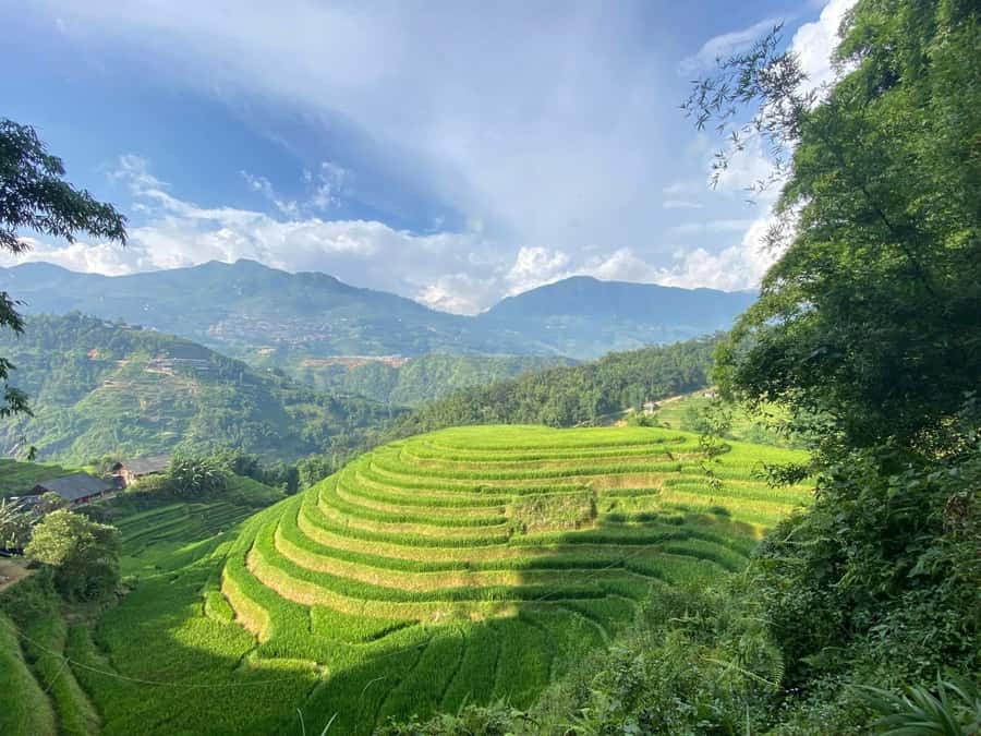 Sapa: Y Linh Ho, Lao Chai, and Ta Van Trekking Tour - Value and Overall Impression