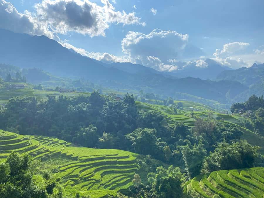 Sapa: Y Linh Ho, Lao Chai, and Ta Van Trekking Tour - An In-Depth Look at the Trek Experience