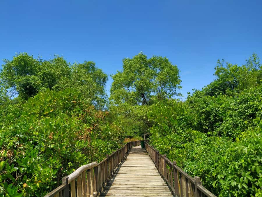 Surabaya: 1-Day City Tour - Exploring the Day in Detail