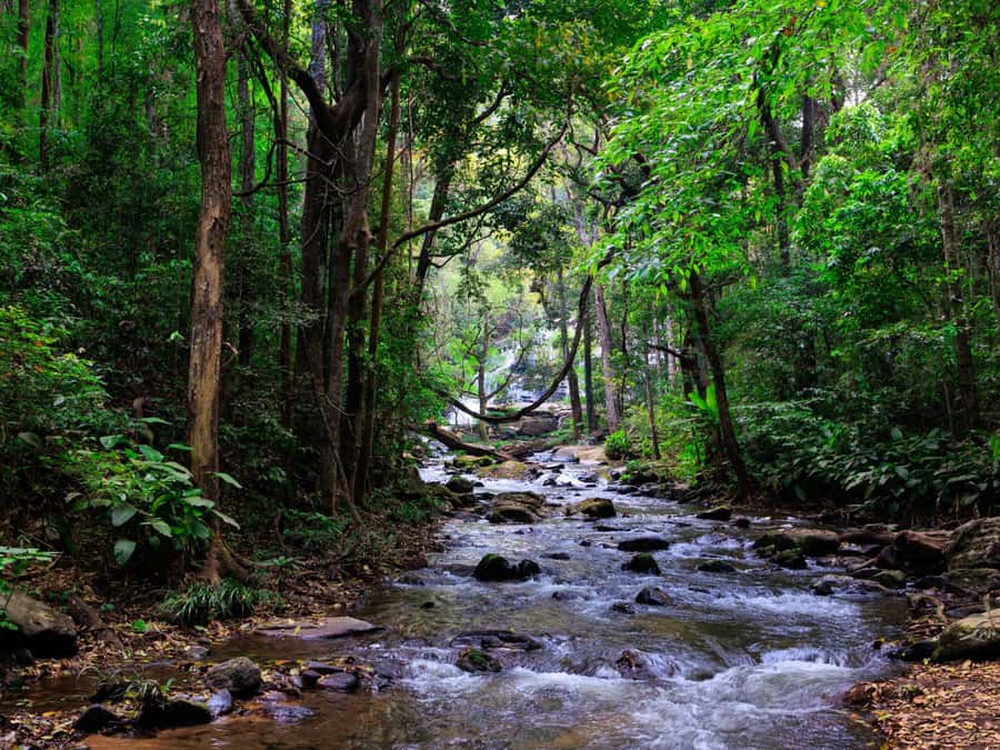 Chiang Mai: 3-Day Karen Hill Tribe Immersion with Trekking - FAQ