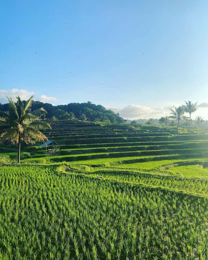 Lombok: Rice Field Terrace, Waterfalls, Culture & Tradition - Good To Know