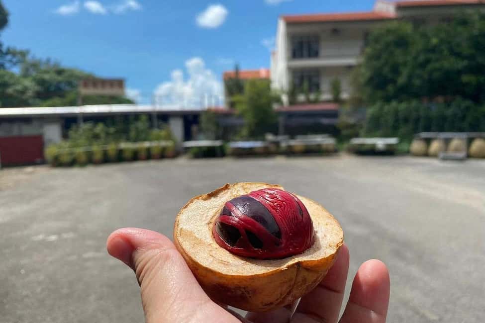 Penang: Balik Pulau Culture Experience & Village Tour - What to Expect from the Balik Pulau Experience