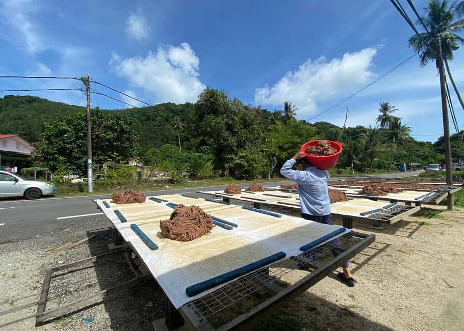 Penang: Balik Pulau Culture Experience & Village Tour - Final Thoughts
