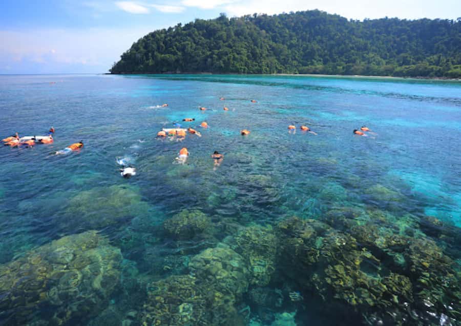 Phuket/Khao Lak : Surin Islands Snorkeling Catamaran Boat - Final Snorkeling and Return Journey