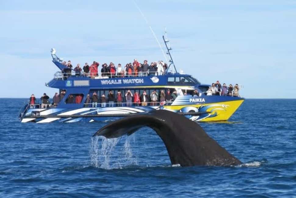 Lyttelton Port: Day Tour 3 options for Cruise Passengers - Discover the Best of South Island on a Private Day Tour from Lyttelton Port