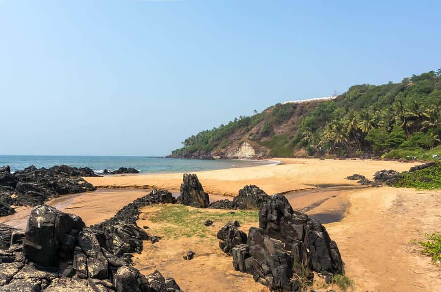 Explore Vasco Da Gama City: Guided Walking Tour on Foot - Authentic Insights from Reviews