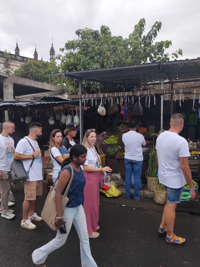 Walk Through Colombos History and Culture - The Logistics and Comfort of the Tour