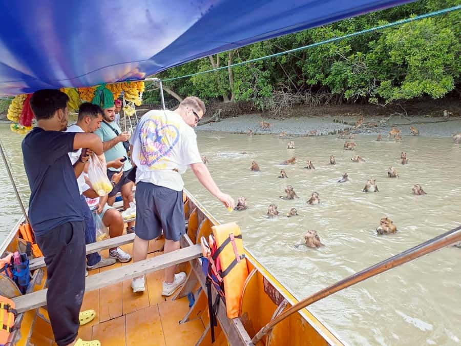 Private Unseen Mangrove Forest and Floating & Railway Market - Who Should Book This Tour?