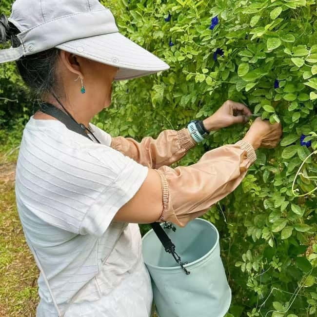 Okinawa: Making Traditional Seasoning 'Kusu' with Lunch - Why This Tour Works