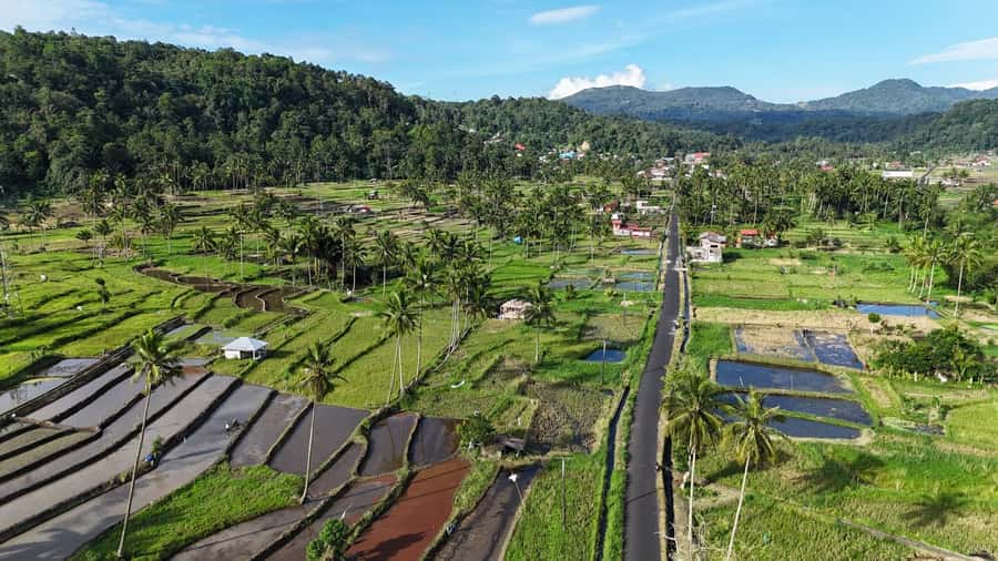 North Sulawesi: Tomohon Nature & Culture Private Guide Tour - Cultural Insights at the Market and Museum