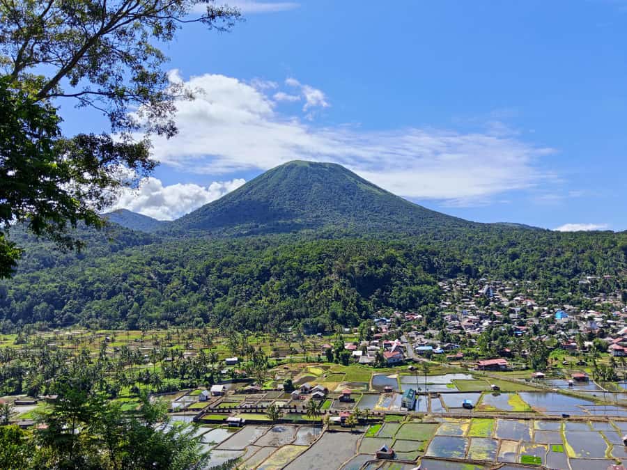 North Sulawesi: Tomohon Nature & Culture Private Guide Tour - Authentic Local Crafts and Waterfalls