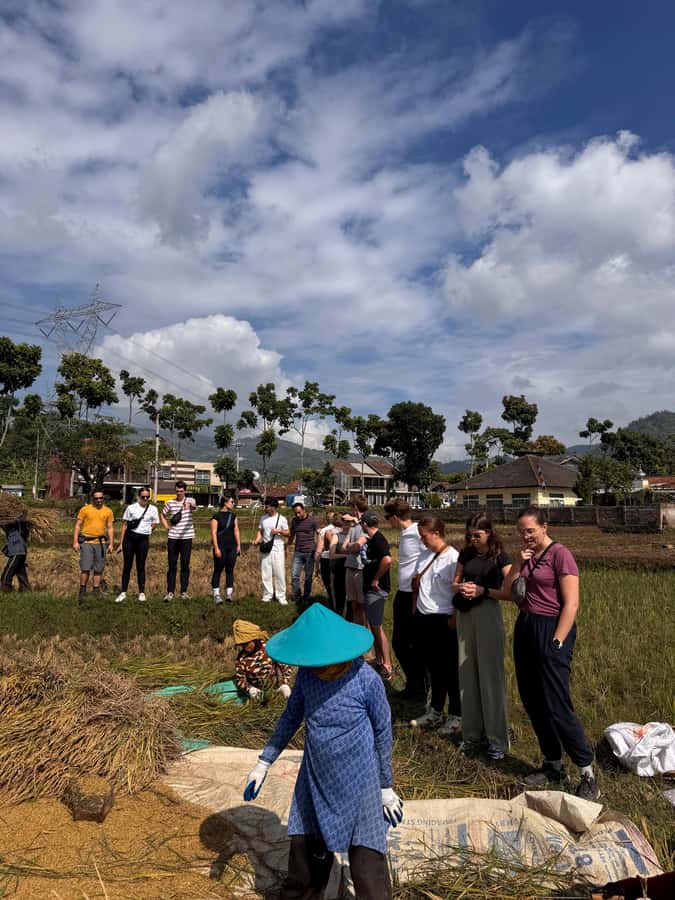 Rice Fields, Coffee plantation, White Crater, & Hot Springs - Frequently Asked Questions (FAQs)