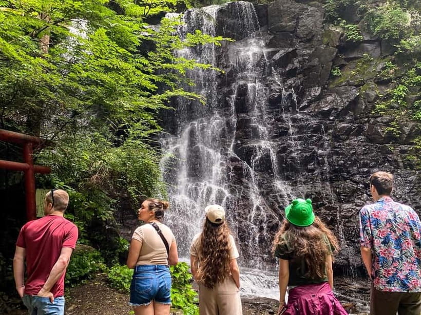Kawaguchiko: Hidden Mt. Fuji Driving Tour with a Local Guide - The Sum Up