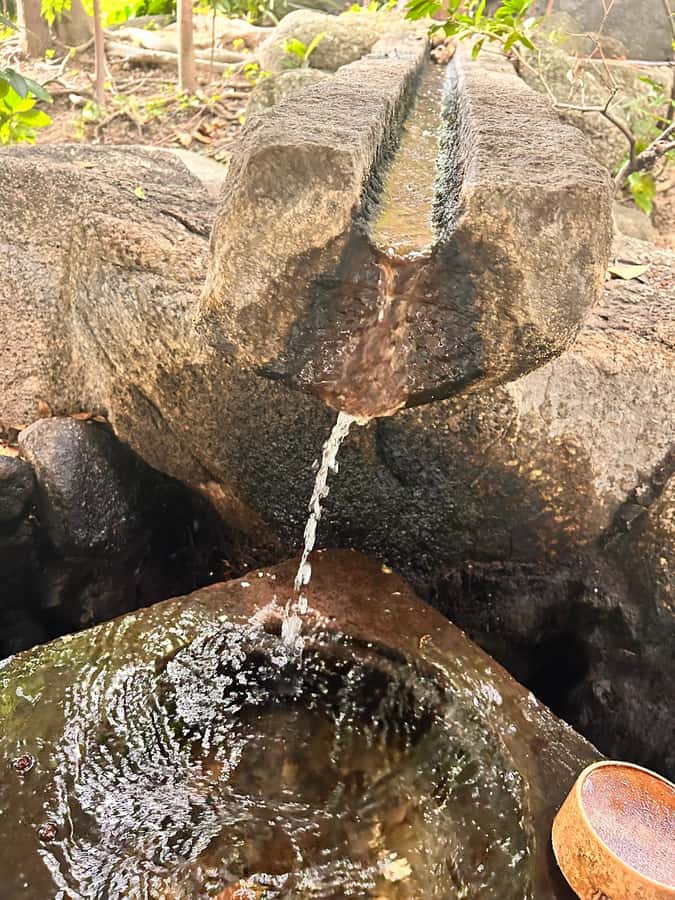 TOKYO: Professional Gardener Guides Gardens by E-bike -LIGHT - FAQ