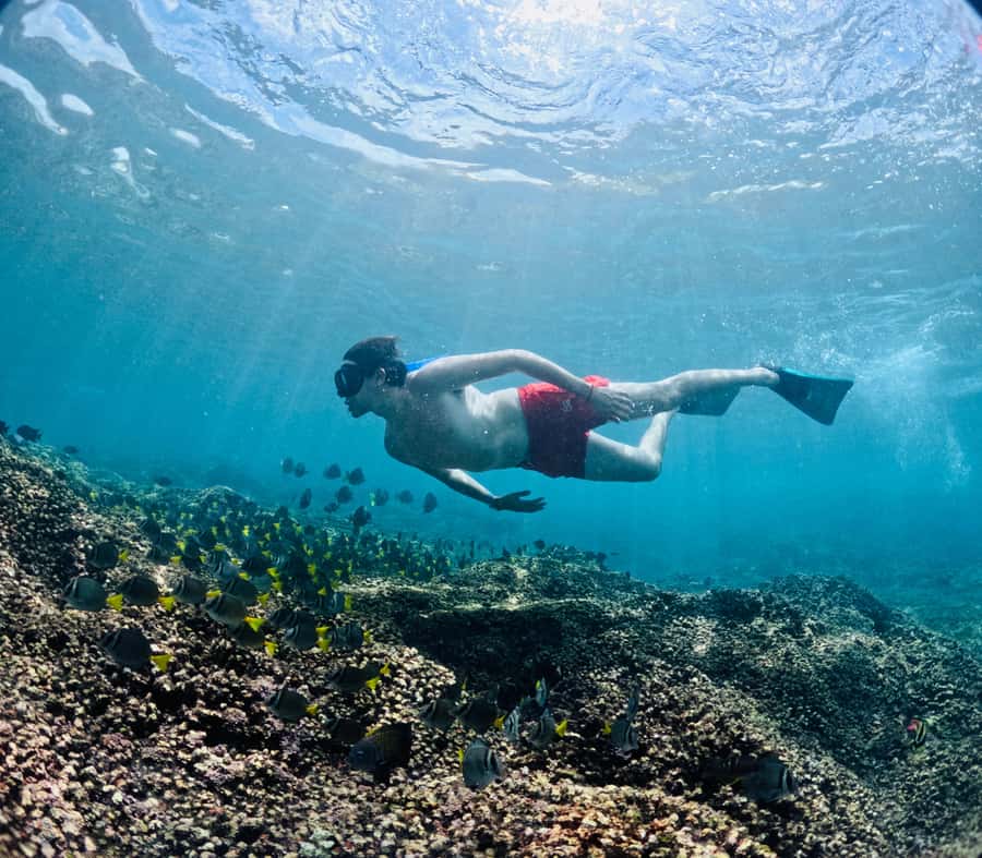 Huatulco: Snorkel at sunrise at La Entrega beach - The Itinerary and Its Highlights