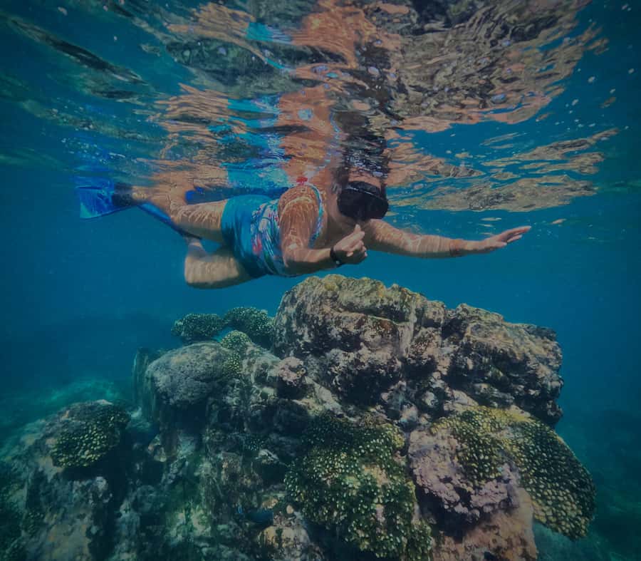 Huatulco: Snorkel at sunrise at La Entrega beach - The Experience in Detail