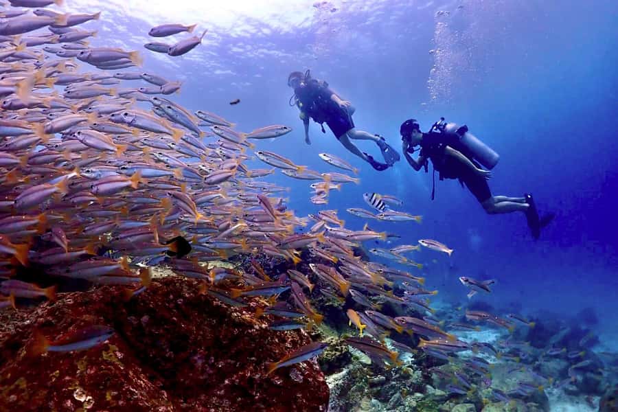 Phuket Scuba Diving Racha Islands 1-3 Dives For All Levels - Who Will Love This Tour?