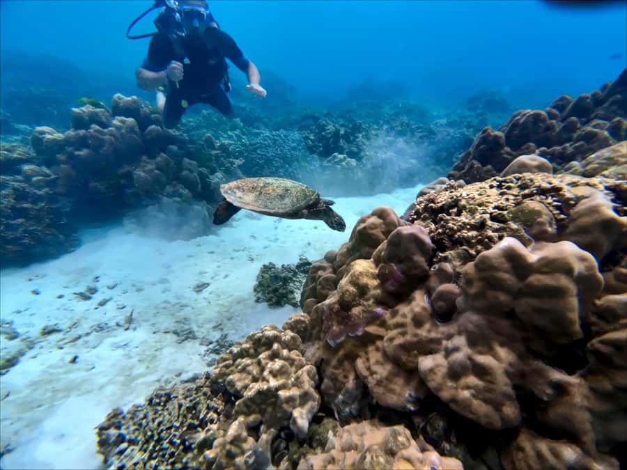 Phuket Scuba Diving Racha Islands 1-3 Dives For All Levels - An Overview of the Racha Islands Full-Day Experience