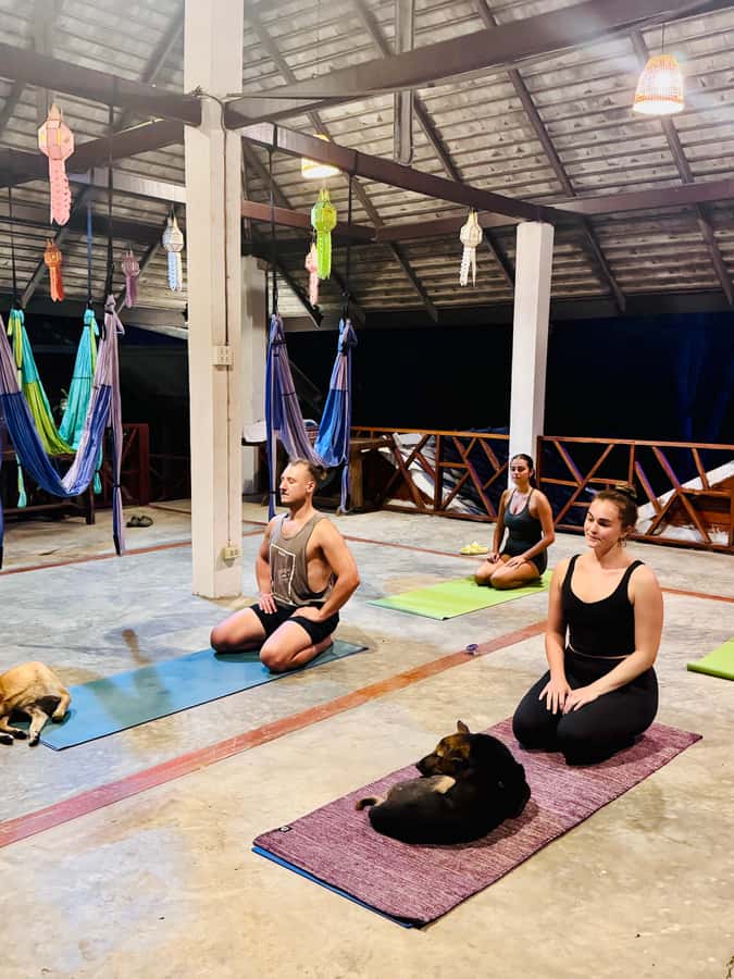 Pai: Sunset Trapeze Yoga Class with Smoothie - The Practicalities: Booking, Cost, and What to Bring