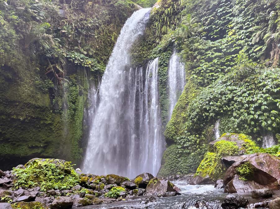 Lombok Spectacular: Waterfalls, Selong Hill & Pusuk Sembalun - Who Would Love This Experience?