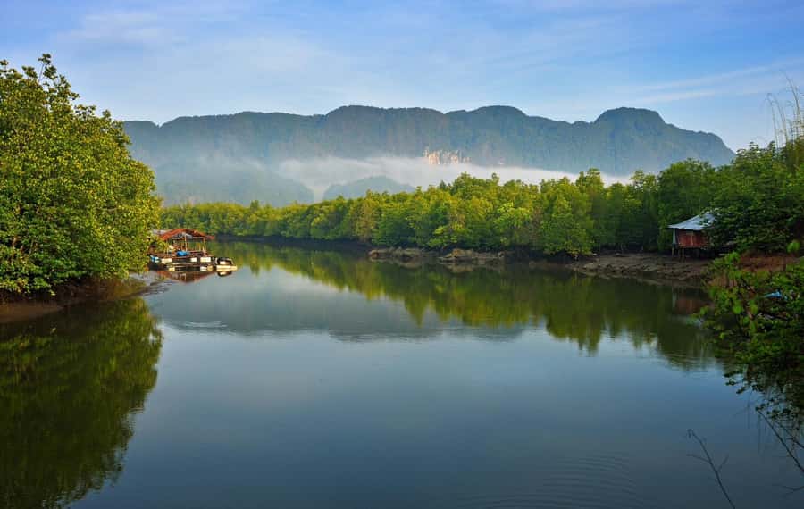 Krabi: Khao Garos Longtail Boat & Mangrove Kayaking w/Lunch - A Detailed Look at the Tour Experience