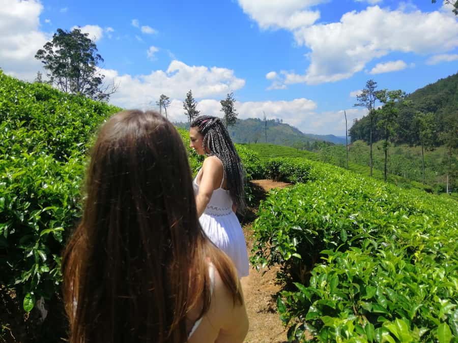 Ella: Ultimate Experience with Cooking Class & Hike - Who Should Consider This Tour?